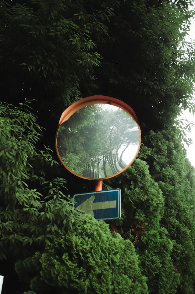 Benefits of Convex Mirrors in Traffic Management Systems